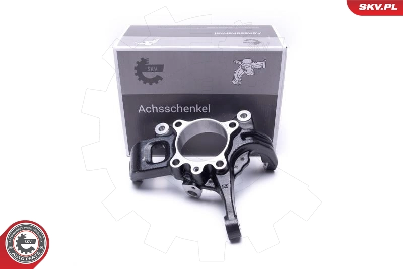 Steering Knuckle, wheel suspension